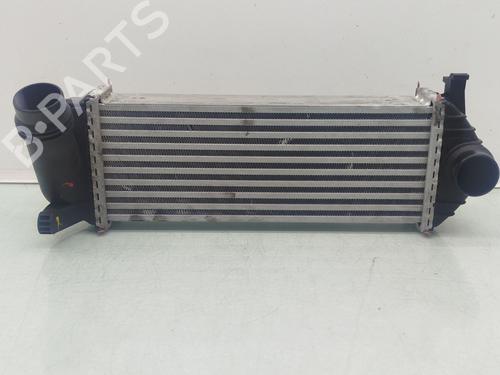Used Intercooler MERCEDES-BENZ CITAN Box Body/MPV (W415) 109 CDI (415.601, 415.603, 415.605) (90 hp) 30262233