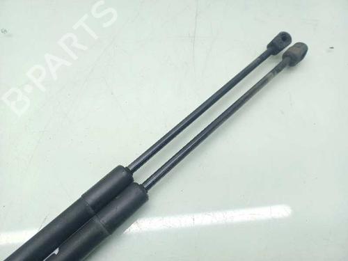 Tailgate lift support BMW 3 Touring (E91)  | BP14308698C138 