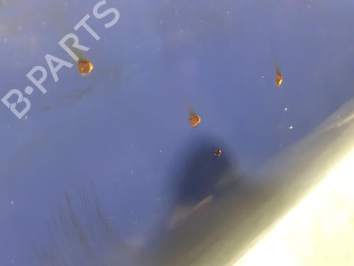 Hood VW MULTIVAN T5 (7HM, 7HN, 7HF, 7EF, 7EM, 7EN) 2.0 BiTDI | BP16966802C1