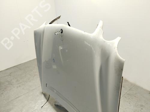 Hood MERCEDES-BENZ E-CLASS (W210) E 220 CDI (210.006) | BP18412910C1 