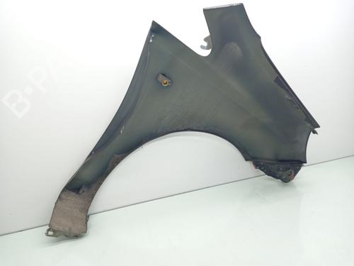 Left front fenders OPEL CORSA D (S07) 1.3 CDTI (L08, L68) | BP17492828C41 