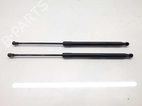 Tailgate lift support NISSAN QASHQAI / QASHQAI +2 I (J10, NJ10, JJ10E) 1.5 dCi | BP14307919C138 