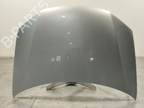 Used Hood VW GOLF V (1K1) 1.9 TDI (105 hp) 29181074