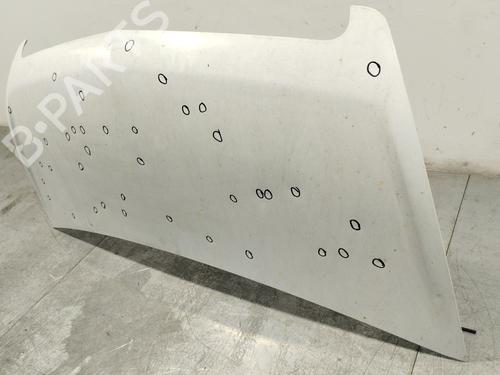 Hood OPEL MOVANO B Van (X62)  | BP29258998C1 