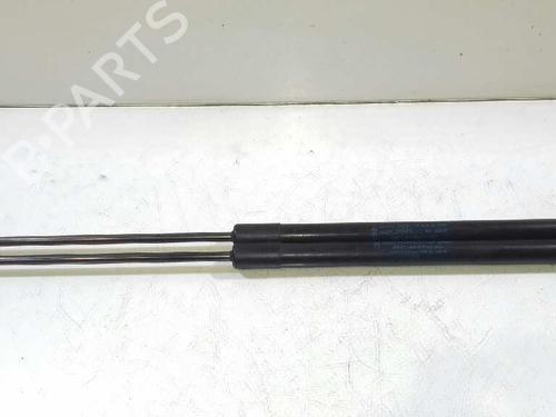 Used Tailgate lift support FORD FIESTA VI (CB1, CCN) 1.0 EcoBoost (100 hp) 14306933