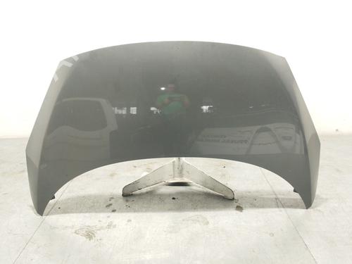 Motorhjelm RENAULT SCÉNIC III (JZ0/1_) 1.2 TCe (116 hp) 22980486