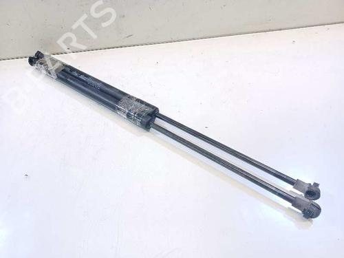 Tailgate lift support NISSAN QASHQAI / QASHQAI +2 I (J10, NJ10, JJ10E)  | BP14308096C138 