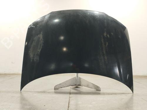 Hood AUDI A3 (8P1) 2.0 TDI 16V quattro 8P0823029B