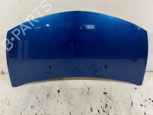 Hood RENAULT CLIO III (BR0/1, CR0/1) 1.5 dCi (BR17, CR17) | BP5665072C1 