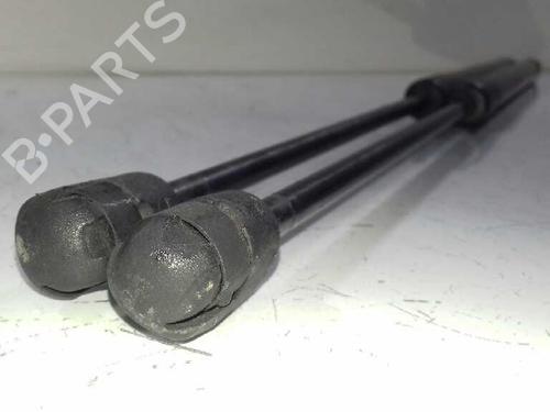 Tailgate lift support FORD FIESTA VI (CB1, CCN) 1.0 EcoBoost | BP14306933C138 
