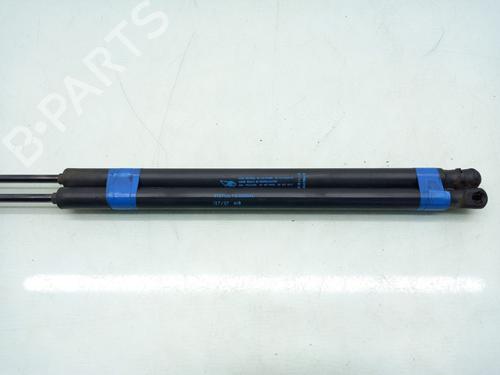 Tailgate lift support CITROËN C4 Picasso I MPV (UD_) 1.6 HDi | BP19328628C138 