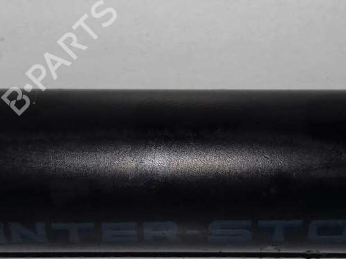 Tailgate lift support AUDI A3 (8P1)  | BP14306179C138 