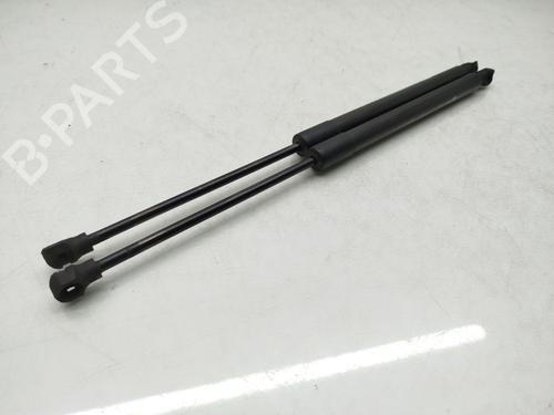 Tailgate lift support RENAULT CLIO IV (BH_) 1.5 dCi 90 | BP18418823C138 