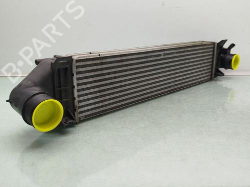 Intercooler Intercooler LAND ROVER RANGE ROVER EVOQUE (L538) [2011-2019] 33959747 33959747