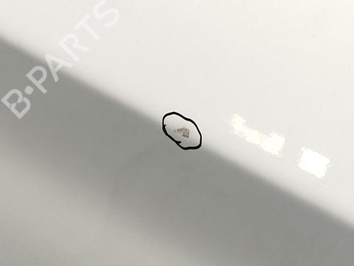 Right front door TOYOTA PRIUS (_W3_) 1.8 Hybrid (ZVW3_) | BP30287507C3