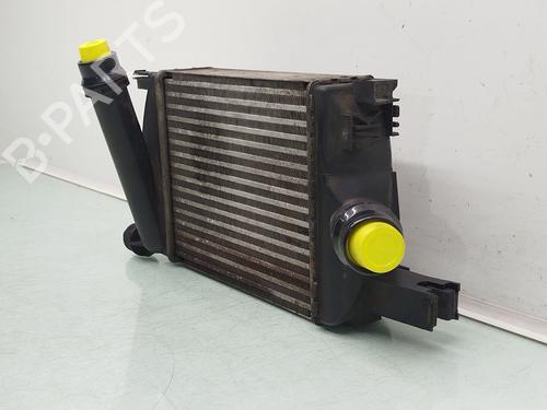 Intercooler DACIA DOKKER Box Body/MPV 1.5 dCi (FEAJ) | BP38085167M30 - Image 3