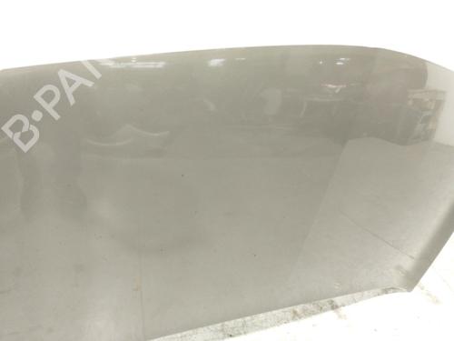 Hood RENAULT MEGANE II (BM0/1_, CM0/1_) 1.5 dCi (BM1F, CM1F) | BP21272210C1 