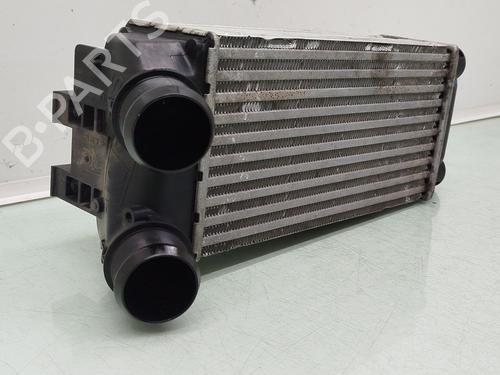 Intercooler PEUGEOT PARTNER Tepee 1.6 BlueHDi 120 | BP26553681M30 