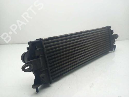 Intercooler RENAULT TRAFIC II Bus (JL) [2001-2024]  13236196