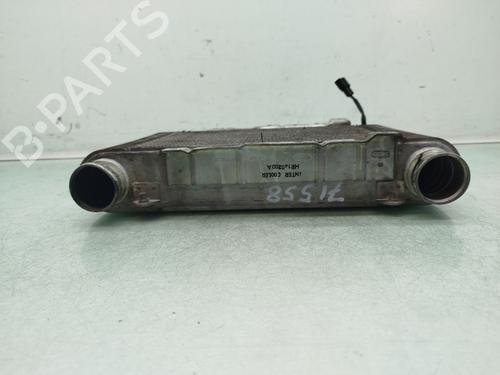 Intercooler HYUNDAI GALLOPER II (JK-01)  | BP24034197M30 