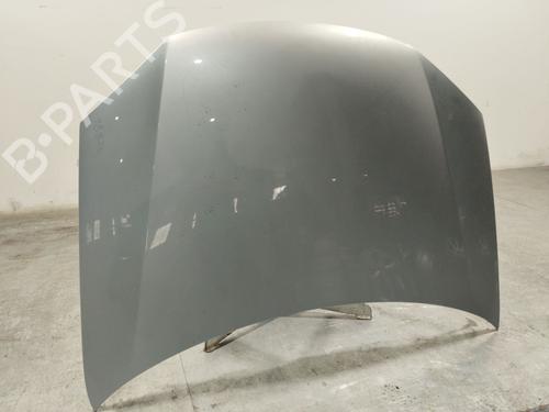 Hood VW GOLF V (1K1) 1.9 TDI | BP29181074C1 