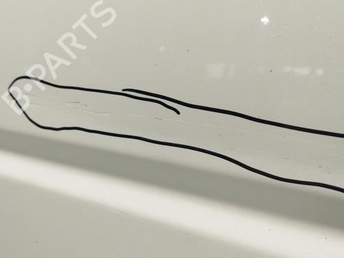 Left front door NISSAN X-TRAIL II (T31) 2.0 dCi 4x4 | BP29259146C2 
