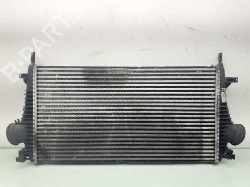 Used Intercooler OPEL INSIGNIA A (G09) [2008-2017]  10358992