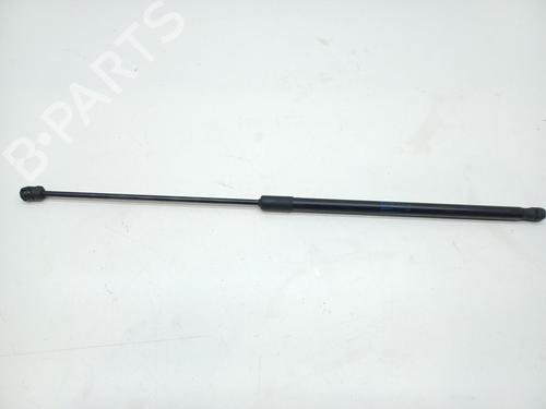 Used Hood lift support Hood lift support VW TIGUAN (AD1, AX1) 1.4 TSI (125 hp) 34494907 34494907