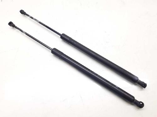 Tailgate lift support RENAULT SCÉNIC III (JZ0/1_) 1.5 dCi (JZ02, JZ0R) 904500004R