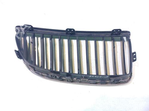 Grille BMW 3 (E90) 320 d | BP20316880C40 