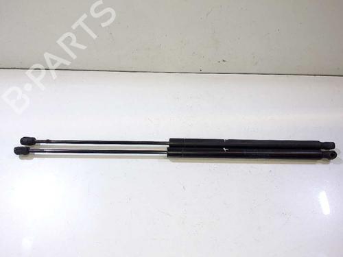 Used Tailgate lift support FORD KUGA I 2.0 TDCi (136 hp) 14307324