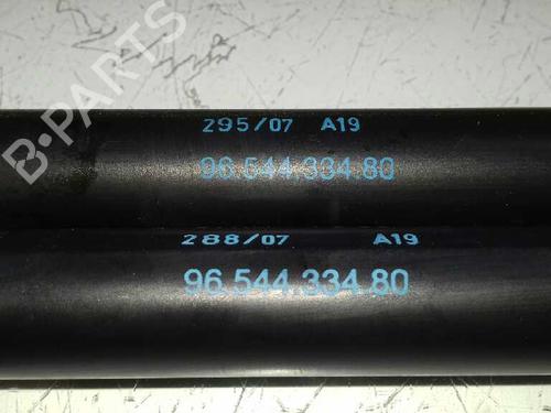 Tailgate lift support CITROËN C4 Picasso I MPV (UD_) 2.0 HDi 138 | BP18294448C138 