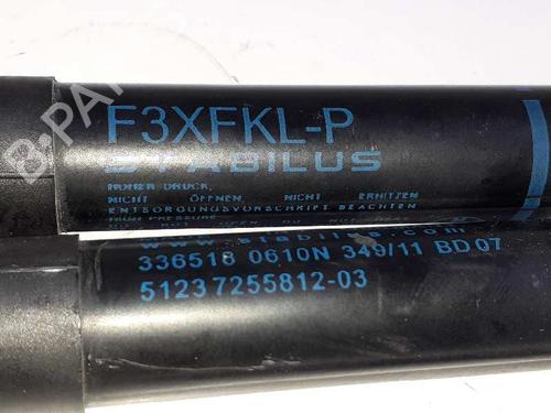 Hood lift support BMW 3 (F30, F80) 320 d | BP14308287C139 