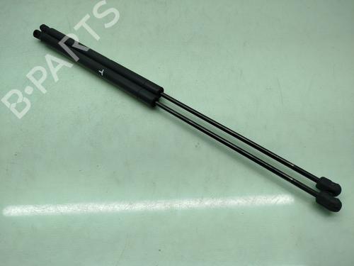 Tailgate lift support FORD KUGA I 2.0 TDCi 4x4 | BP22782199C138 