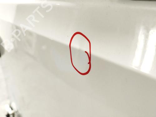 Left rear door MAN TGE Van eTGE (35V, UXB) | BP29709917C4 