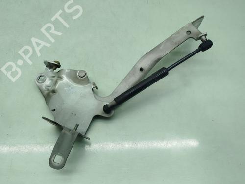 hingedoor-check-strap-renault-scenic-iii-jz01_-2008-2009-2010-2011-2012-2013-2014-2015-2016-32259030 main image