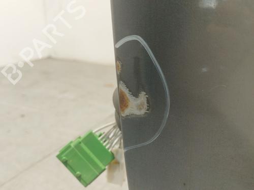Left front door PEUGEOT EXPERT Van (VF3A_, VF3U_, VF3X_) 2.0 HDi 130 | BP29544502C2 