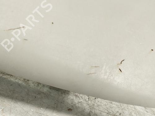 Tailgate CITROËN C3 II (SC_) 1.4 HDi 70 (SC8HZC, SC8HR0, SC8HP4) | BP27319741C6 
