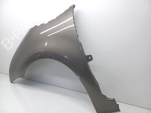 Left front fenders CITROËN C4 Picasso I MPV (UD_) 2.0 HDi 138 | BP16217074C41 
