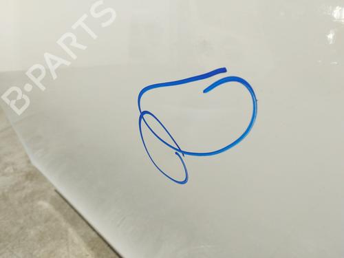 Left front door MERCEDES-BENZ VITO Van (W447) 114 CDI (447.601, 447.603, 447.605) | BP30746365C2 