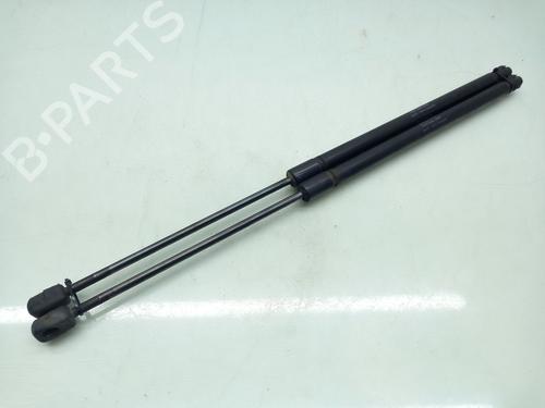 Tailgate lift support MERCEDES-BENZ C-CLASS Coupe (CL203)  | BP17001099C138 