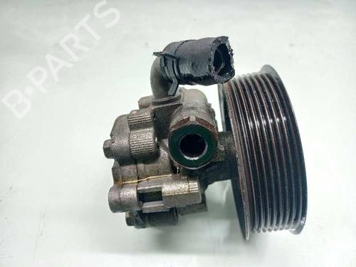 Steering pump LAND ROVER RANGE ROVER SPORT I (L320) 2.7 D 4x4 | BP9712924M99 