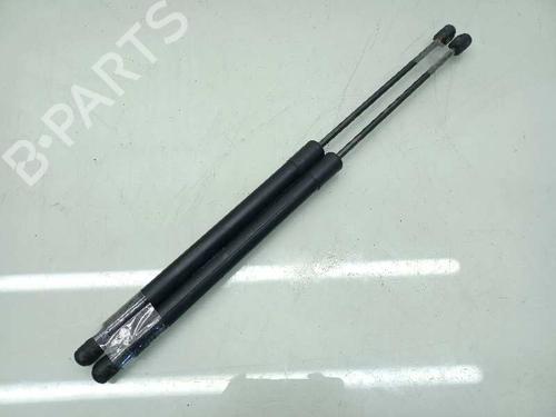 Tailgate lift support MERCEDES-BENZ B-CLASS Sports Tourer (W245)  | BP14307898C138 