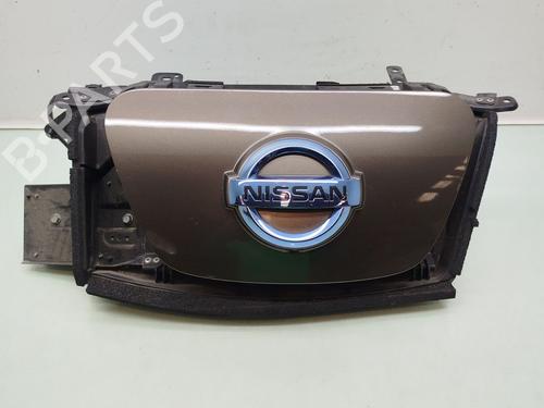 Used Grille Grille NISSAN LEAF (ZE0) Electric (109 hp) 35950362 35950362
