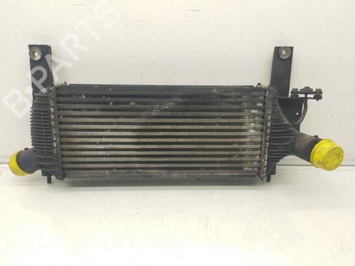 Intercooler NISSAN PATHFINDER III (R51) 2.5 dCi 4WD (171 hp) 33013338