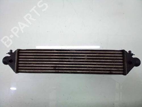 Intercooler FIAT DOBLO Cargo (263_) 1.6 D Multijet (263WXD1B, 263WXR1B, 263WXX1B, 263ZXD1B,... | BP10745120M30 