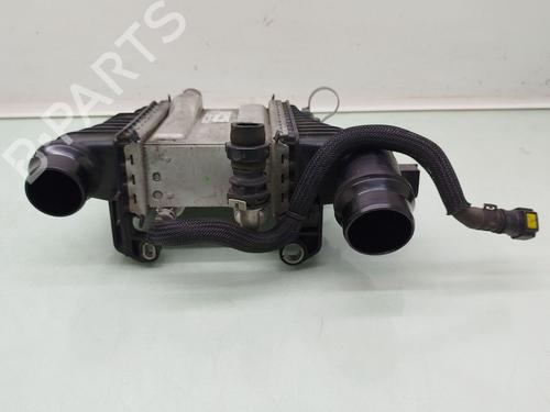 Intercooler RENAULT KADJAR (HA_, HL_) 1.5 BLUE dCi 115 (HLA6) | BP30770250M30