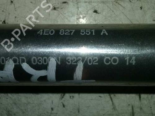 Tailgate lift support AUDI A8 D3 (4E2, 4E8) 3.7 quattro | BP14309699C138 