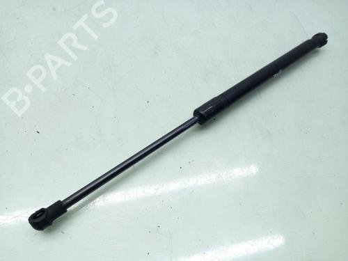 Hood lift support VW CADDY III MPV (2KB, 2KJ, 2CB, 2CJ) 1.9 TDI | BP18144057C139 