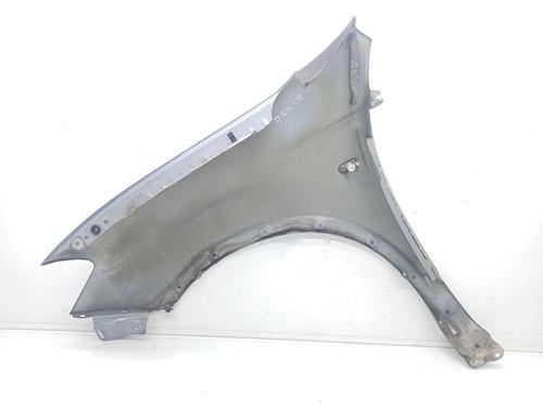 Right front fenders NISSAN QASHQAI / QASHQAI +2 I (J10, NJ10, JJ10E) 1.5 dCi | BP21027124C42 